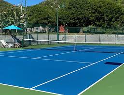 Image result for Fladbury Tennis Club