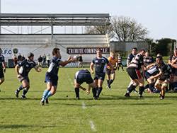 Image result for St Ives Rugby Club