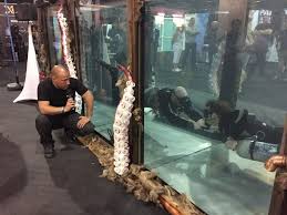 Image result for Apneists UK