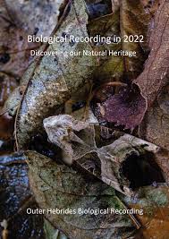 Attēlu rezultāti vaicājumam “Badhamia lilacina young”