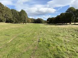 Image result for Caird Park Golf Club