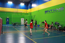 Image result for Bushey Barons Badminton Club
