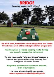 Image result for BUDLEIGH SALTERTON CROQUET CLUB