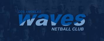 Image result for Valhalla Netball Club