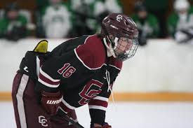 Image result for Carlisle Hockey Club