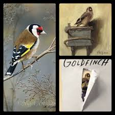 Attēlu rezultāti vaicājumam “Carduelis carduelis adult”