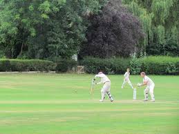 Image result for Horsley & Send Cricket Club
