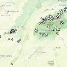 Attēlu rezultāti vaicājumam “Arthonia leucopellaea”