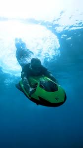 Image result for Seabug Divers