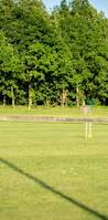 Image result for Unity Croquet Club (Sudbury) Ltd