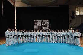 Image result for I T F Taekwondo (Andover)