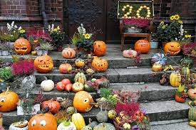 Image result for Kürbis