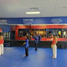 Image result for America's Best Karate