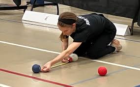 Image result for Well Being and Leisure Team (Boccia)