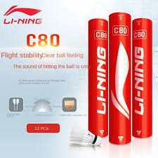 Image result for Flight Badminton Club