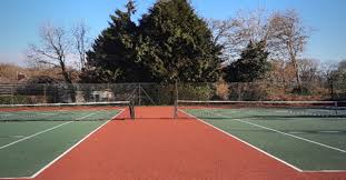 Image result for Sandford Tennis Club