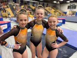 Image result for Holbeach and Fenland Gymnastics Club