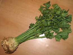 Image result for Sellerie