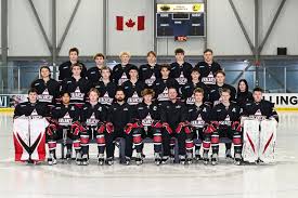 Image result for Ash Avalanche Skater Hockey Club