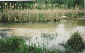 Image result for Millbrook Smbc