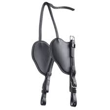 Image result for scheuklappen