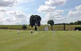 Image result for Halstead Colts Cricket Club