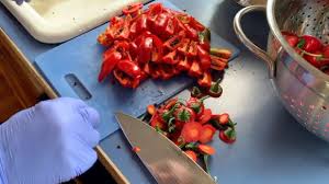 Afbeeldingsresultaat voor red rocoto hot pepper