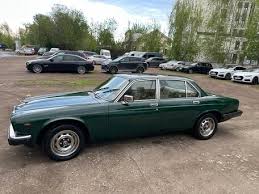 Image result for Racing Green 1981 Jaguar