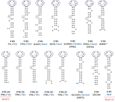 IRE 0.0 IRE 7.5에 대한 이미지 검색결과