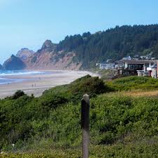 Image result for Lincoln City