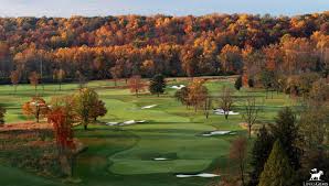 Image result for Forest Green Cricket Club