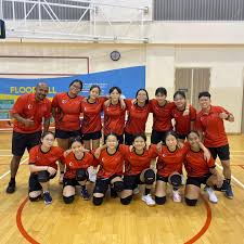 Image result for Liphook Tchoukball Club