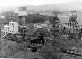 Image result for Polmaise Bowling Club