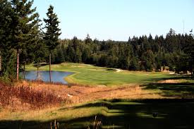 Image result for White Horse Kite Fliers Club