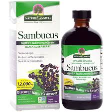 Attēlu rezultāti vaicājumam “Sambucus”