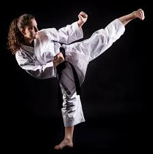 Image result for Redhill Karate Association