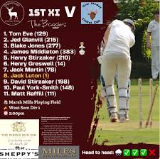 Image result for Over Stowey Cricket Club