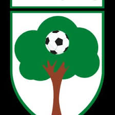 Image result for Alderbury Football Club