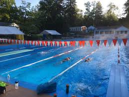 Image result for Chadderton Amateur Swimming Club