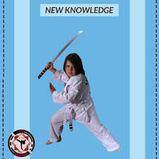 Image result for ATA Martial Arts Maple Ridge