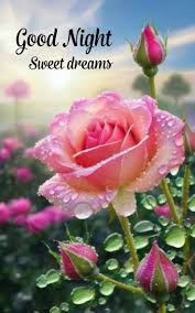 Image result for pheega