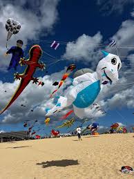 Image result for Kite Ireland