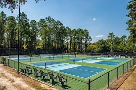 Image result for Henfield Tennis Club