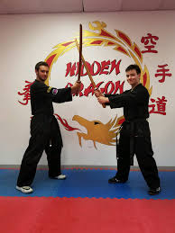 Image result for Hidden Dragon Karate-Do