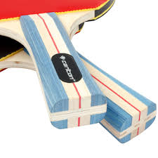 Image result for Reigate Roystons Table Tennis Club