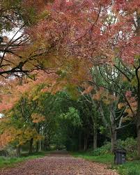 Image result for Loddon Valley Rambling Group