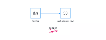 Image result for Pointers