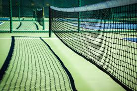 Image result for Thornbury Pickleball Club