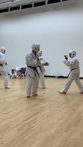 Image result for Seiki Juku Karate Club