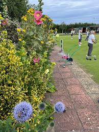 Image result for Martham Bowls Club